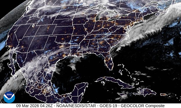 Woodfield 55+ in Vero Beach: Pros, Cons, and Local Insight
